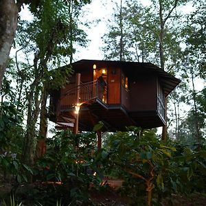 Pugmarks Jungle Lodge